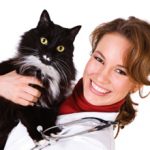 Преимущества и недостатки профессии ветеринара