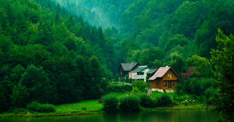 Красивый дом у леса
