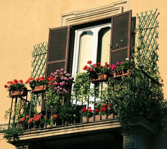Французский балкон с цветами 