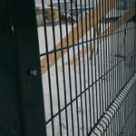 Стоит ли устанавливать забор зимой — плюсы и недостатки