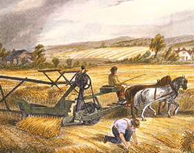 Главные плюсы и недостатки аграрной революции