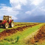 Основные плюсы и минусы крестьянского-фермерского хозяйства
