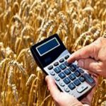 Единый сельскохозяйственный налог ЕСХН: плюсы и минусы