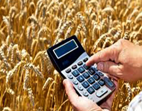 Единый сельскохозяйственный налог ЕСХН: плюсы и минусы