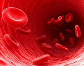 Причины и последствия анемии для здоровья