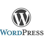 Стоит ли делать сайт на WordPress: плюсы и минусы движка