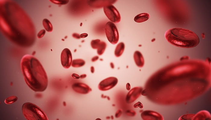 Уменьшение концентрации клеток крови