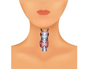 Уменьшение щитовидной железы: причины и последствия