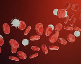 Низкие лейкоциты в крови — причины и последствия