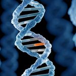 Причины и последствия соматических мутаций
