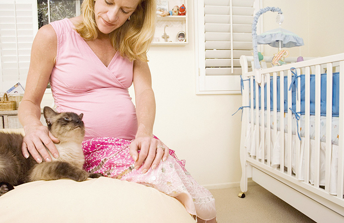 Беременная женщина с кошкой