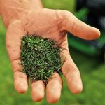 Мульчирование травой из газонокосилки: особенности, плюсы и минусы