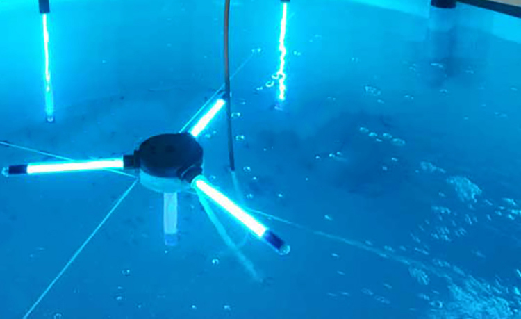 Очистка бассейна ультрафиолетовыми лампами