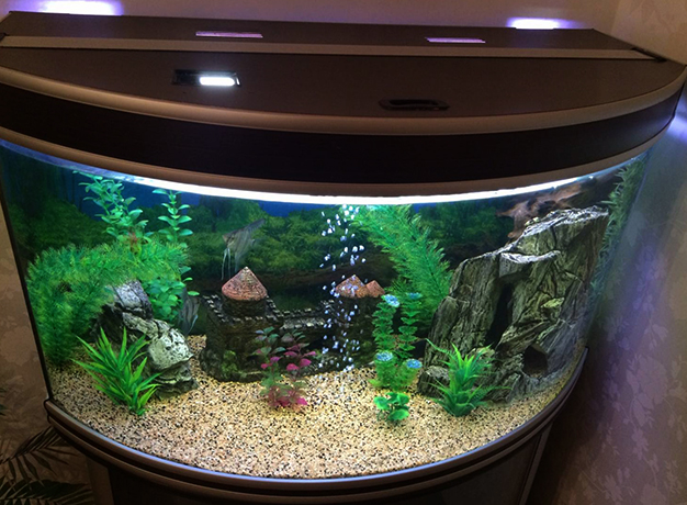 Панорамный аквариум в квартире
